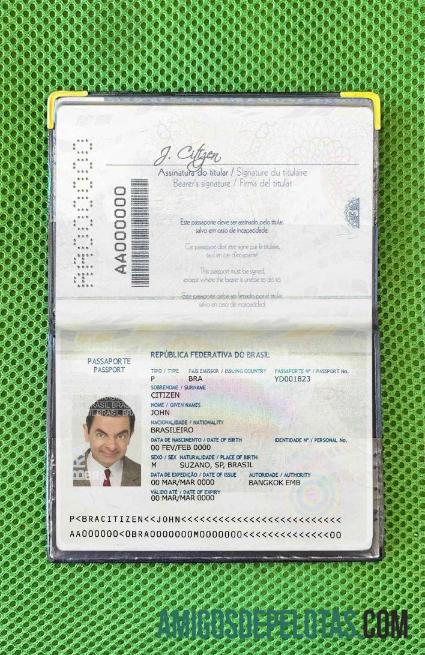 Passaporte Brasil (2016 2019) Look fotográfico baixar para verificação